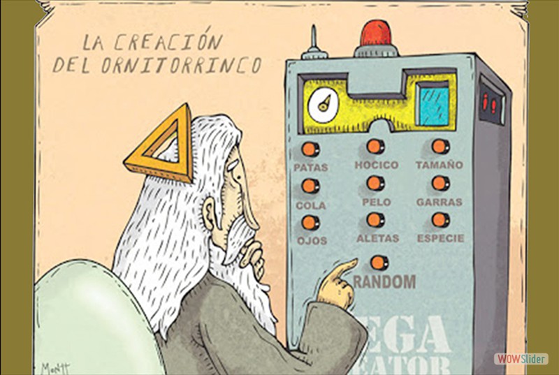 Haz clic en esta imagen para ver todas las viñetas